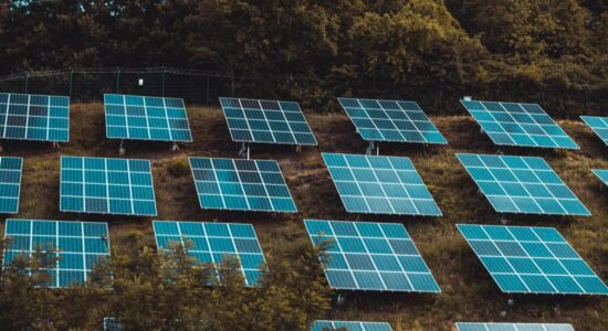 Energia solar para empresas: como vender projetos B2B